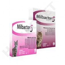 Milbactor Cat